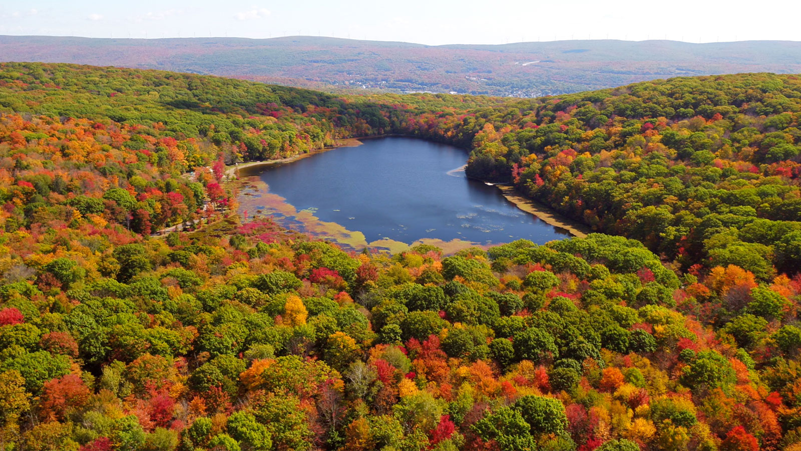 Fall foliage at Merli-Sarnoski Park in Fell Twp., PA.