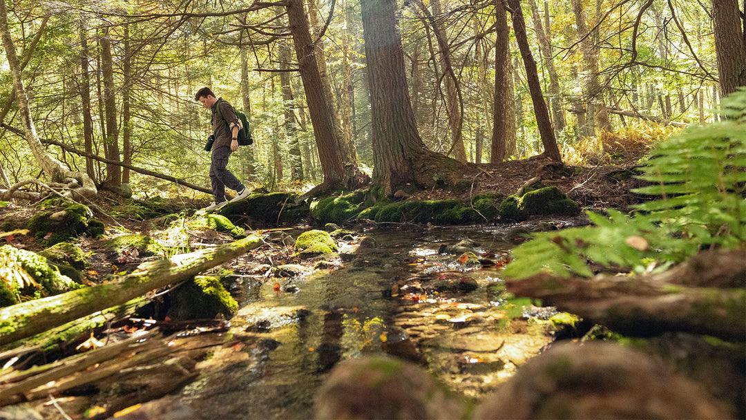 Hiking at the Natural Lands' Bear Creek Preserve in Bear Creek, PA